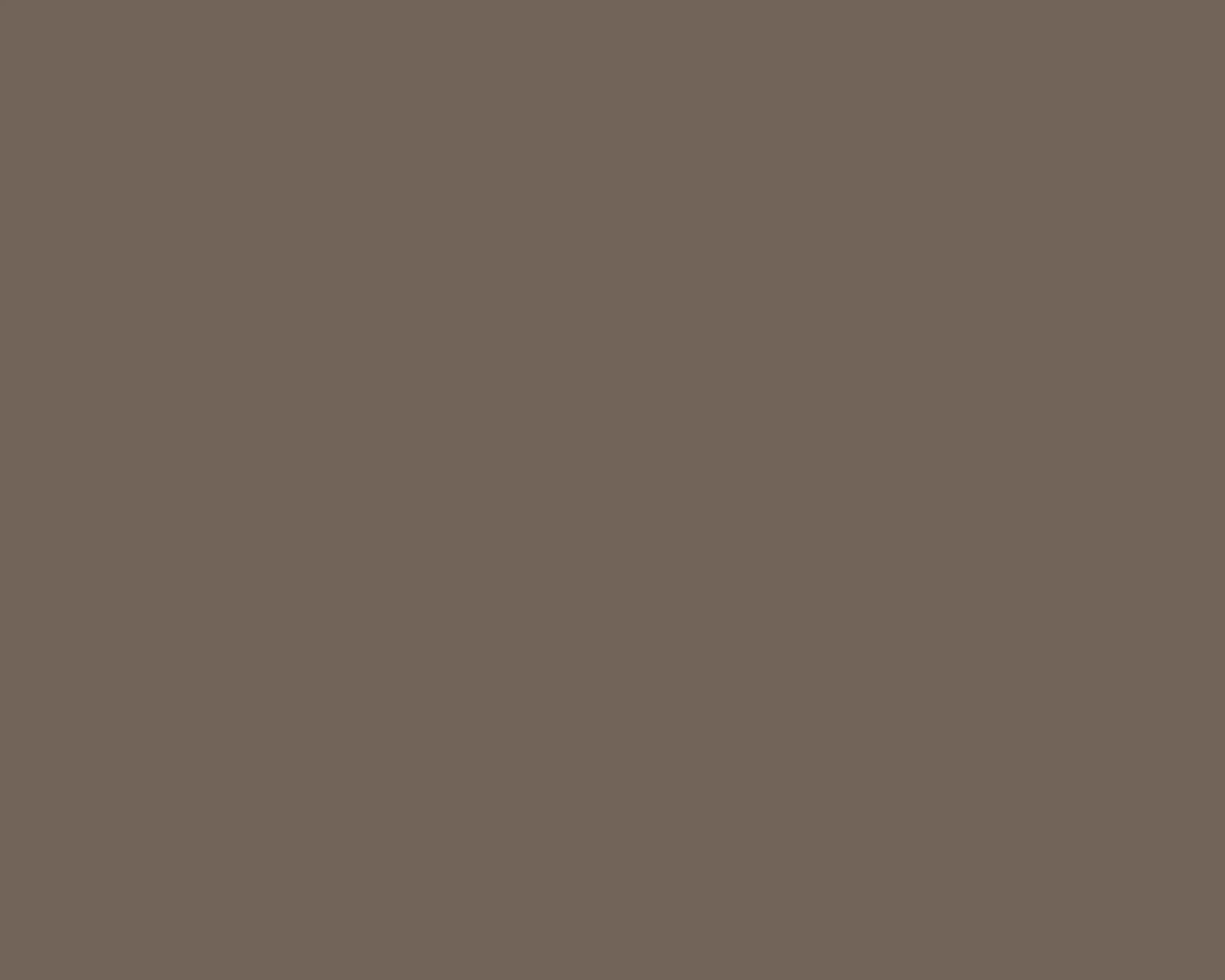 HPL Lamitak TSW 15127AC HICKORY ACADIA motif Solids+ 4'x10' / 1220 x 3050mm