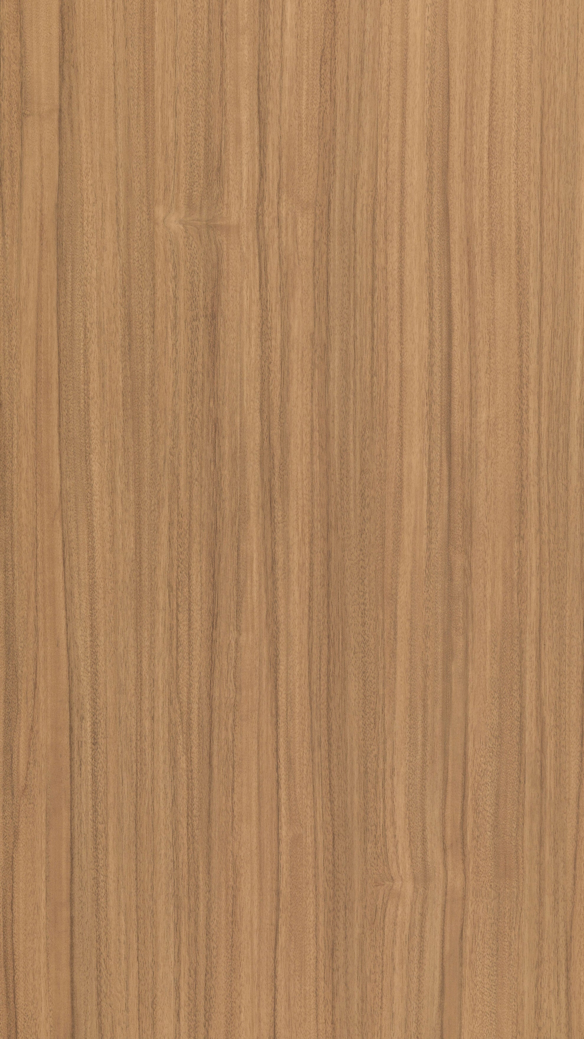 GMM 0184 S HPL GRASMERINO ARIZONA WALNUT