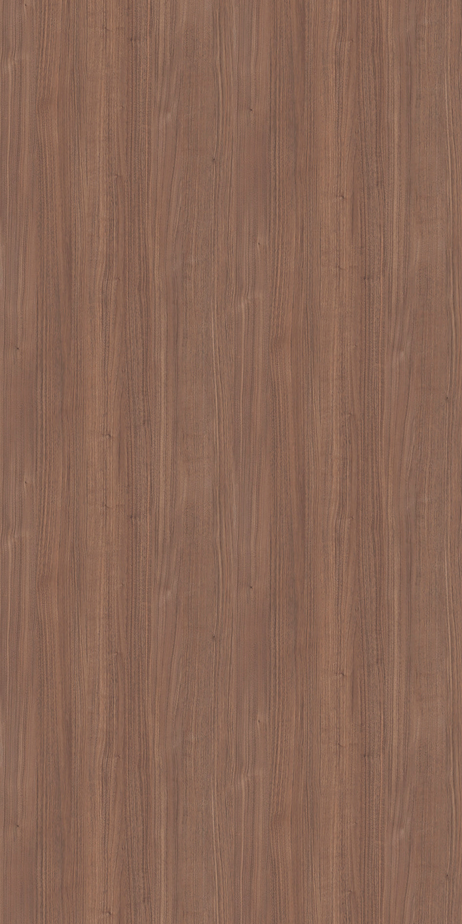 AK-14116CS98 HPL AICA BROWN MODE WALNUT