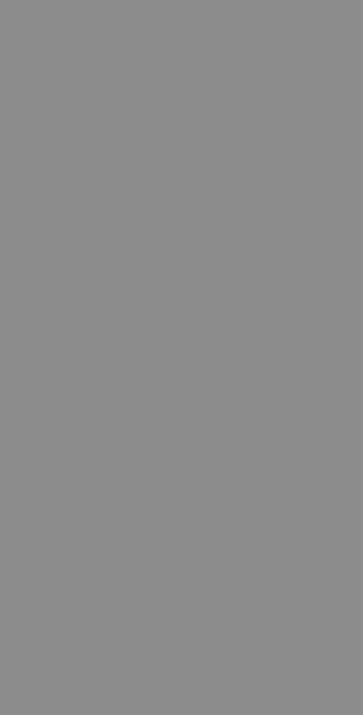 DMB 2966 HPL EDL POLISHED GREY MIRROR