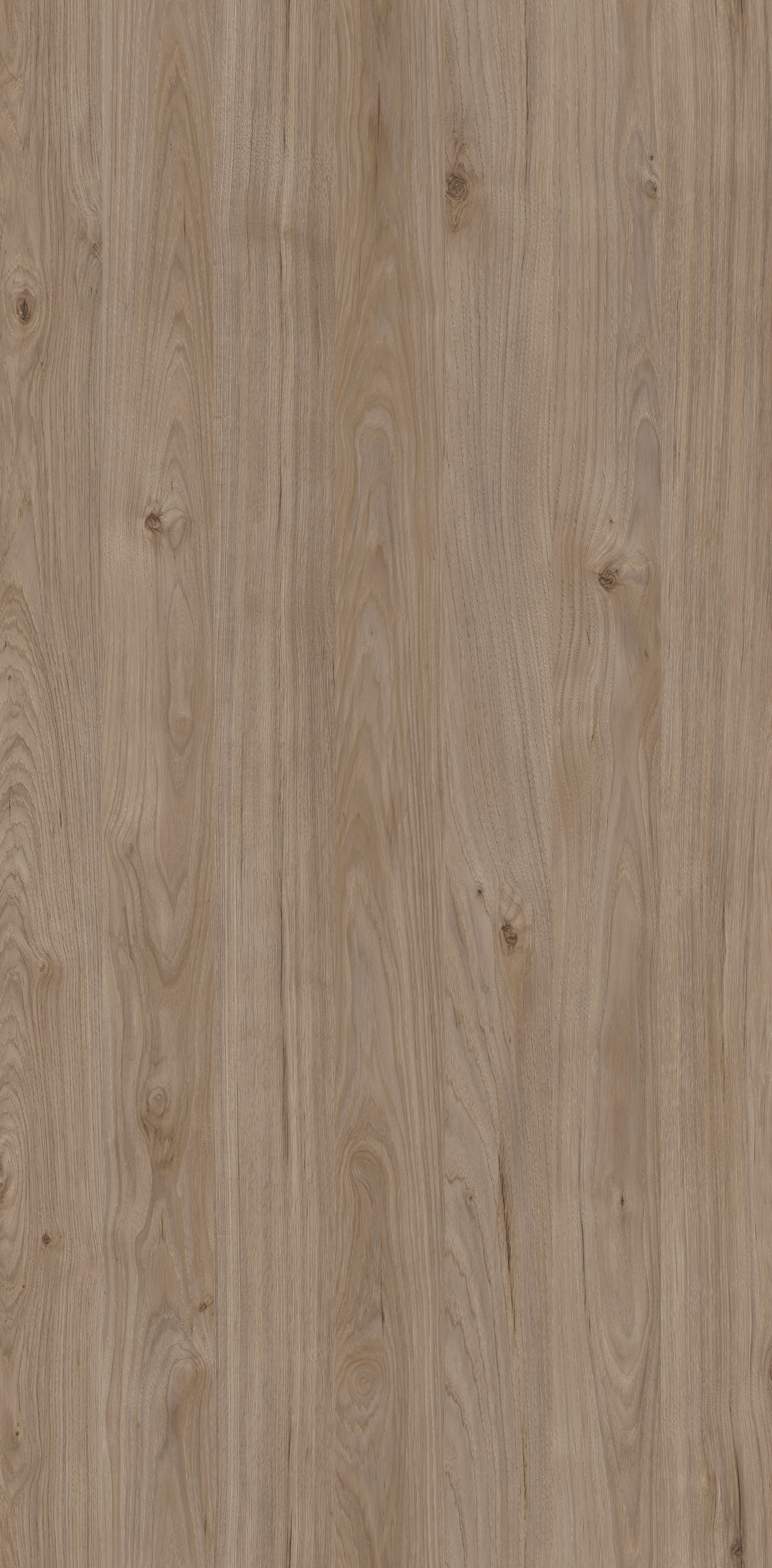 DSW 6282FLW HPL EDL COSMOPOLITAN