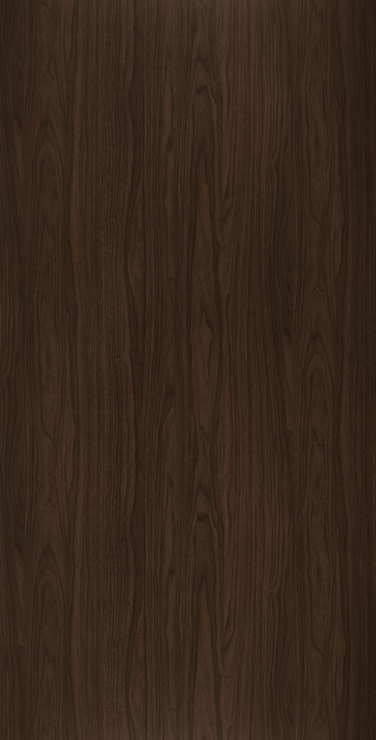 DWK 3163AT HPL EDL CIFRA WALNUT