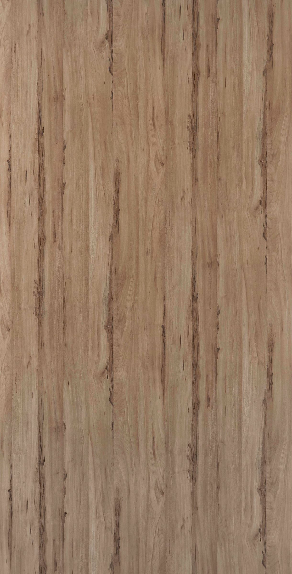 DWT 3701W HPL EDL MEDIUM MONTFORT ELM