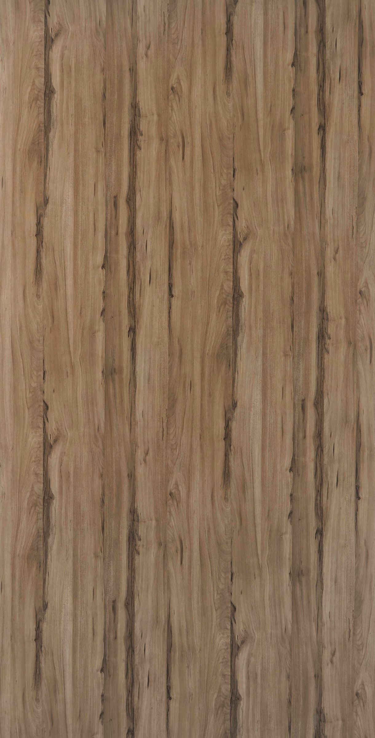 DWT 3702W HPL EDL MONTFORT ELM