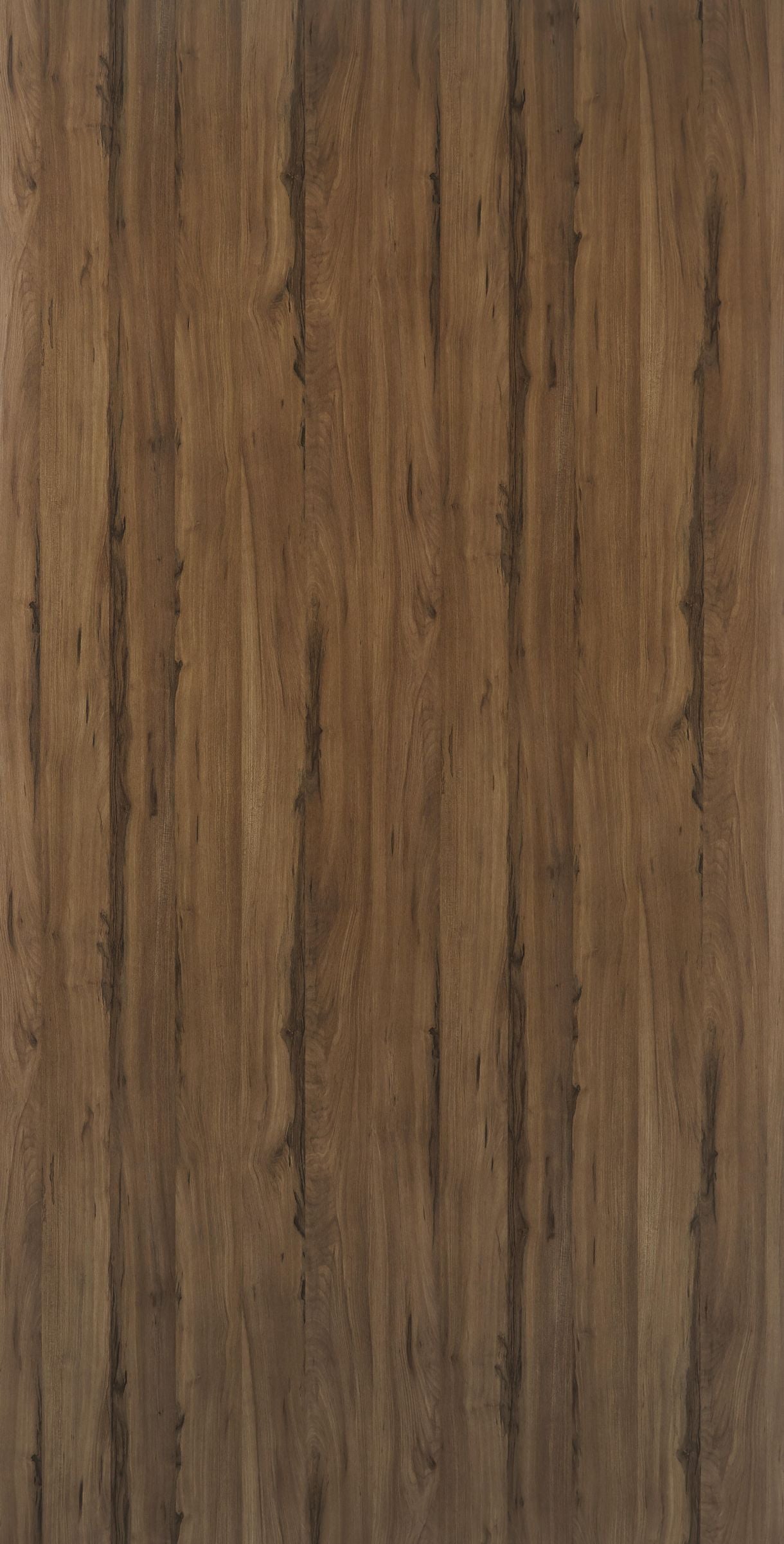 DWT 3703W HPL EDL DARK MONTFORT ELM