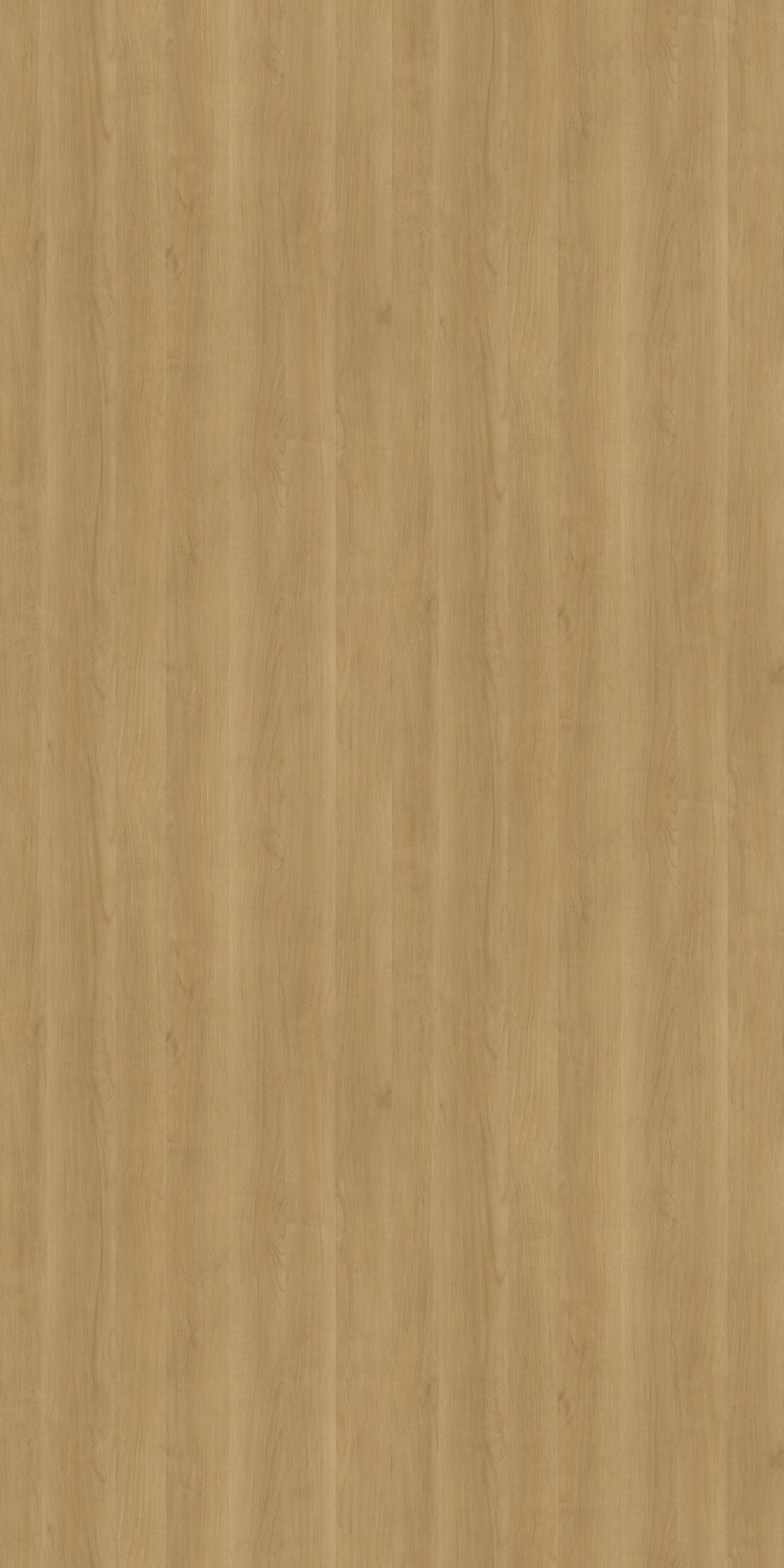 DWT 3773W HPL EDL BONDI BIRCH