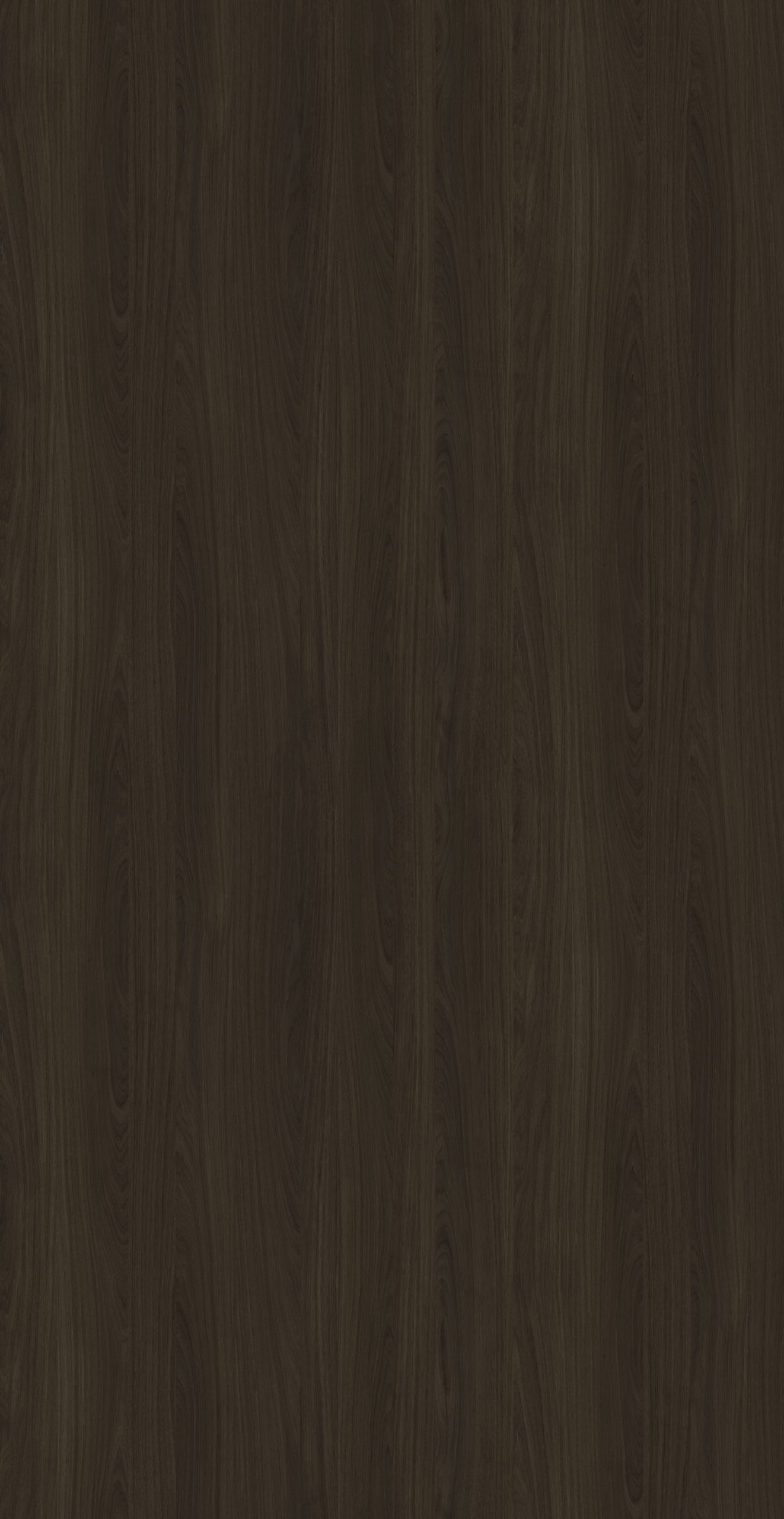 DWT 3775W HPL EDL DARK WEBSTER OAK