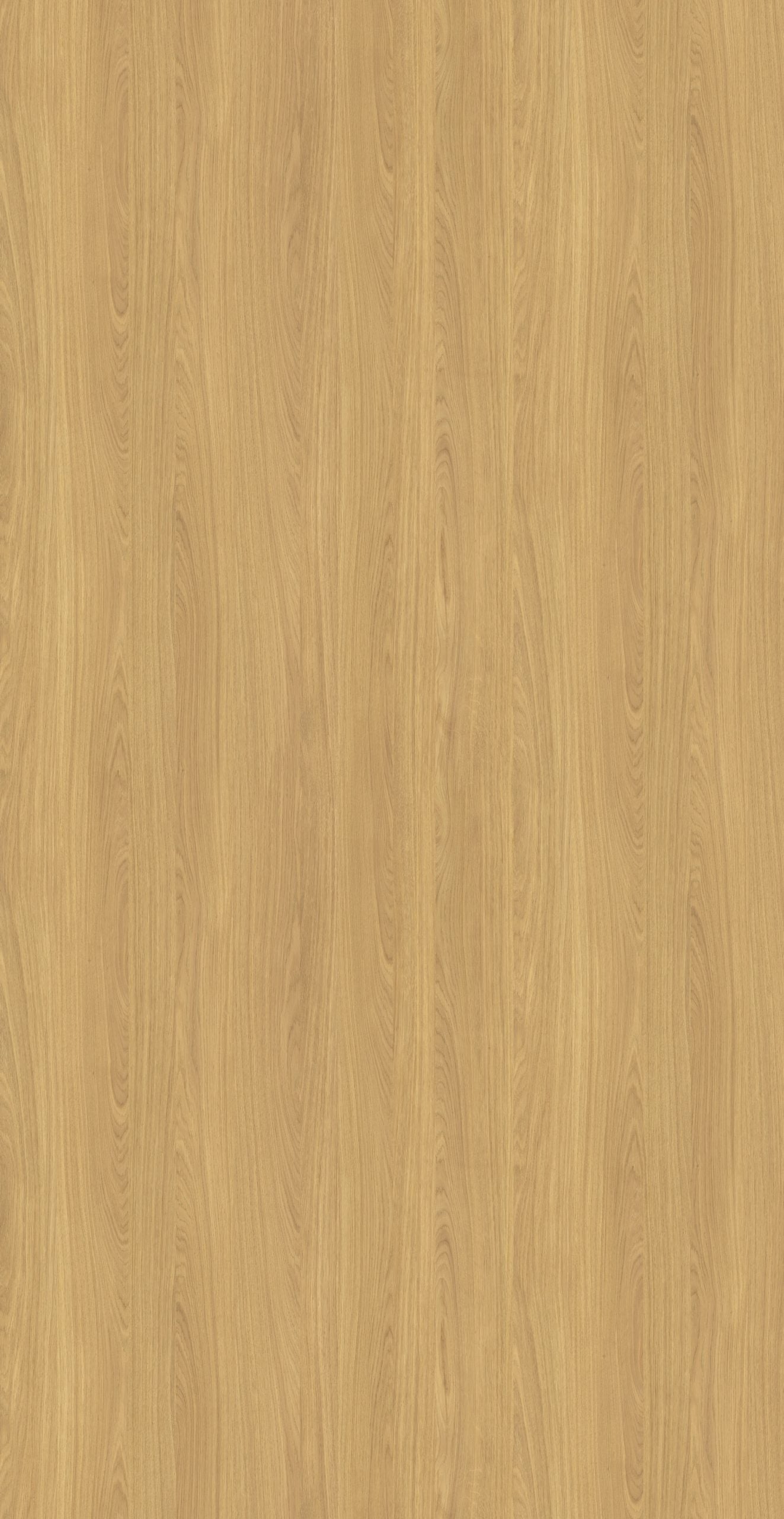 DWT 3776W HPL EDL WEBSTER OAK