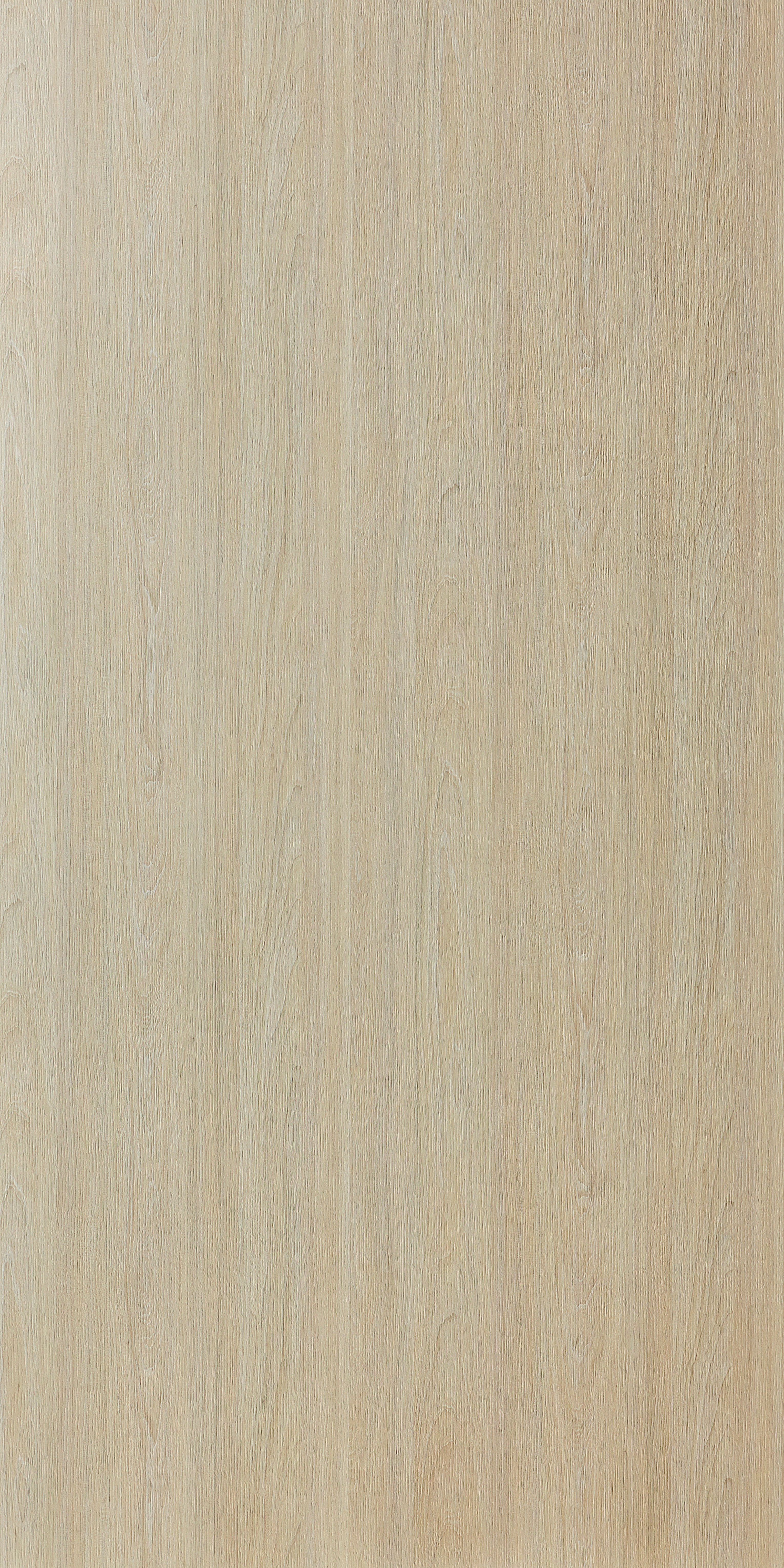 DWV 4538AE HPL EDL WHITE ELM