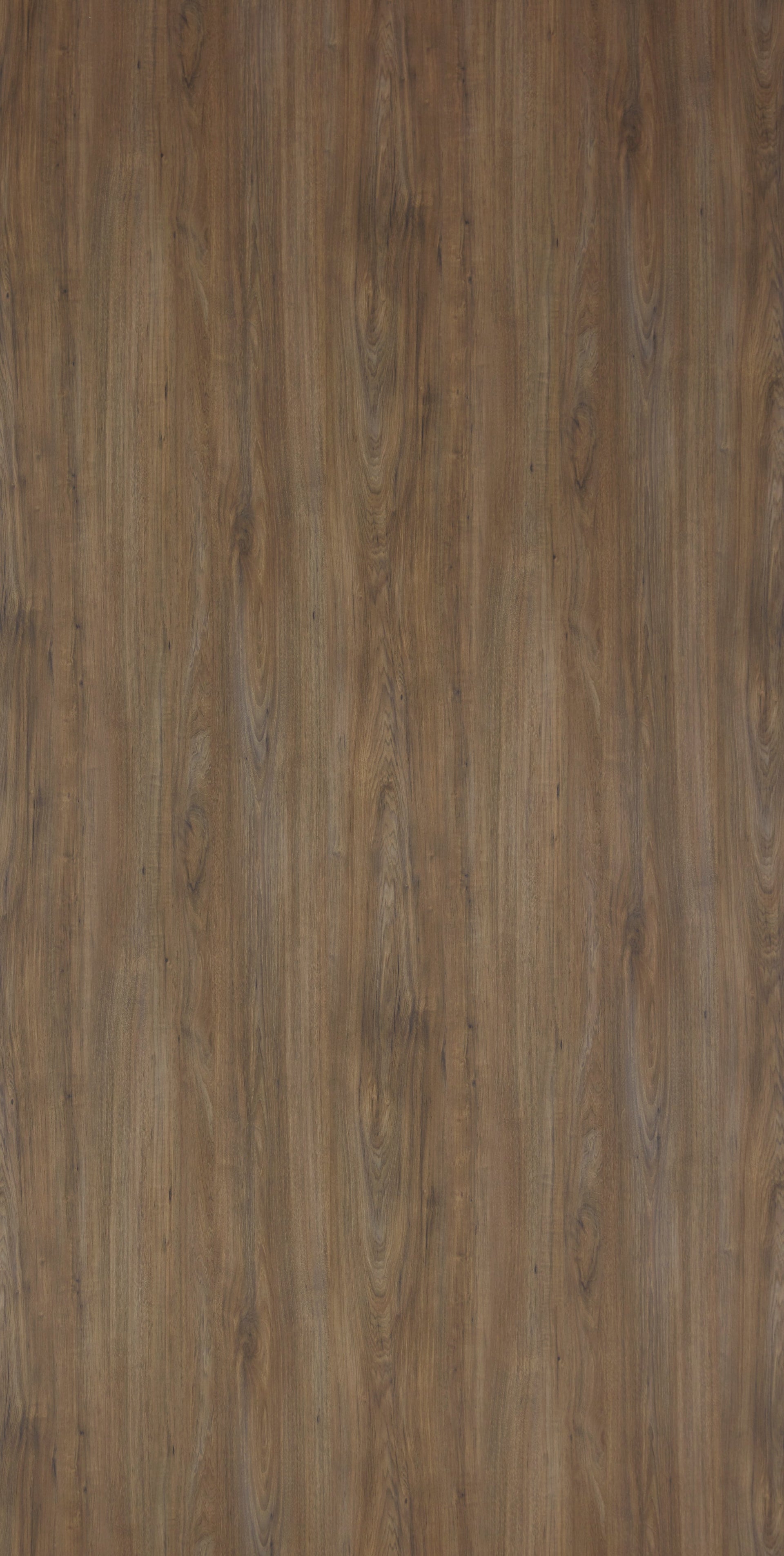 DWV 4617AE HPL EDL NOCE CARYA LIGHT
