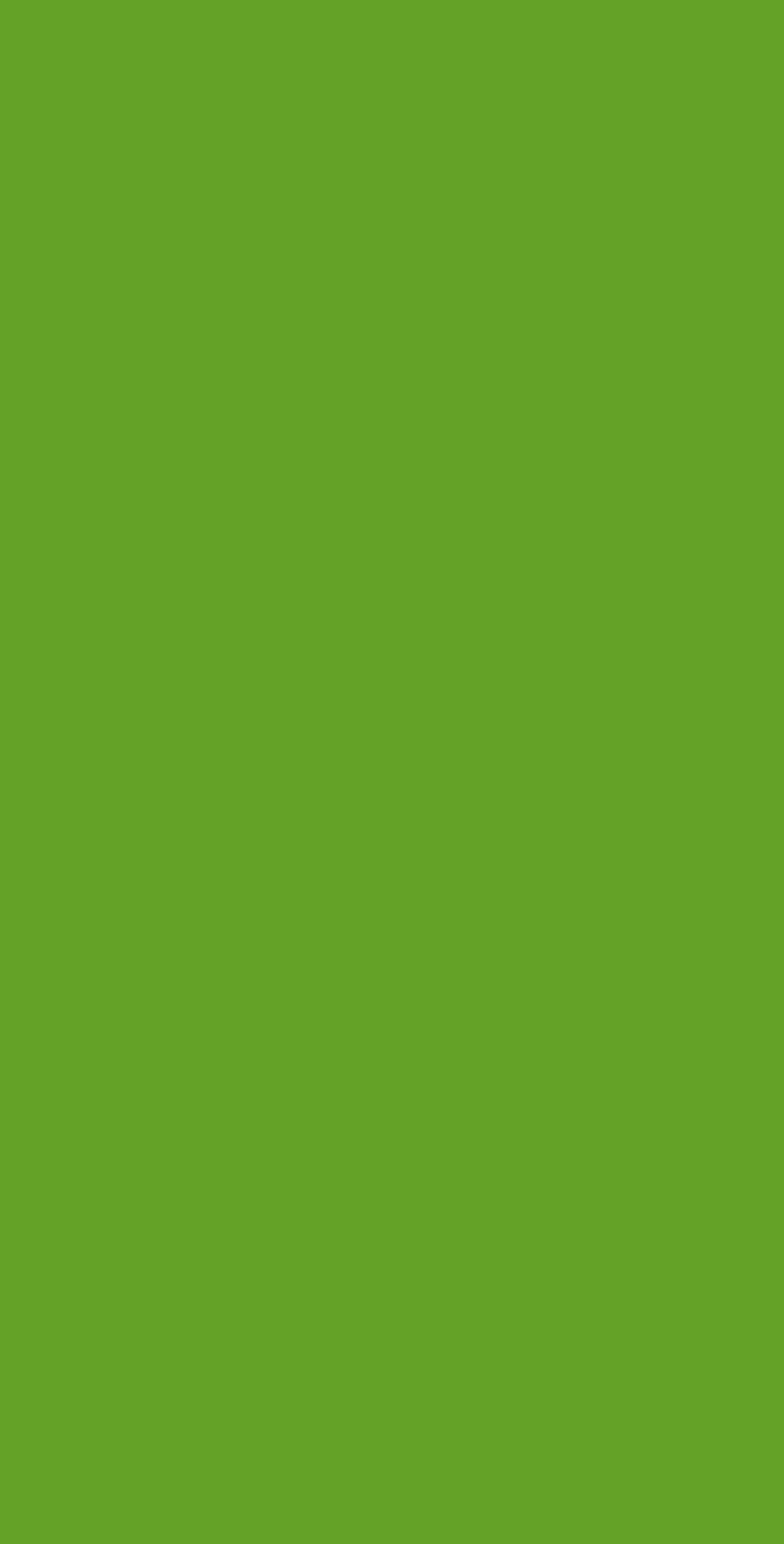 ESG 5066N HPL EDL LIME GREEN