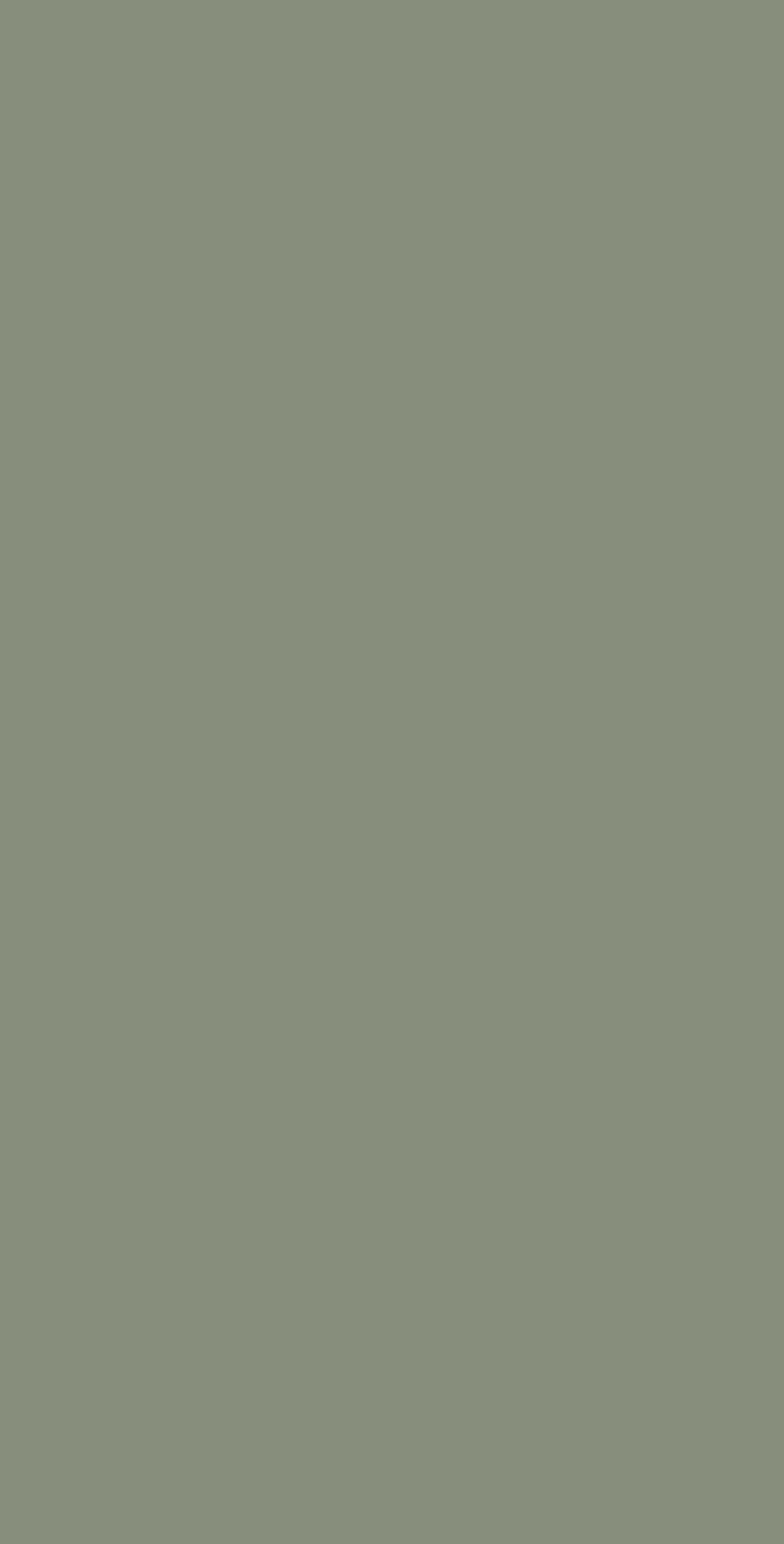 ESS 5206SMA HPL EDL MUTED OLIVE