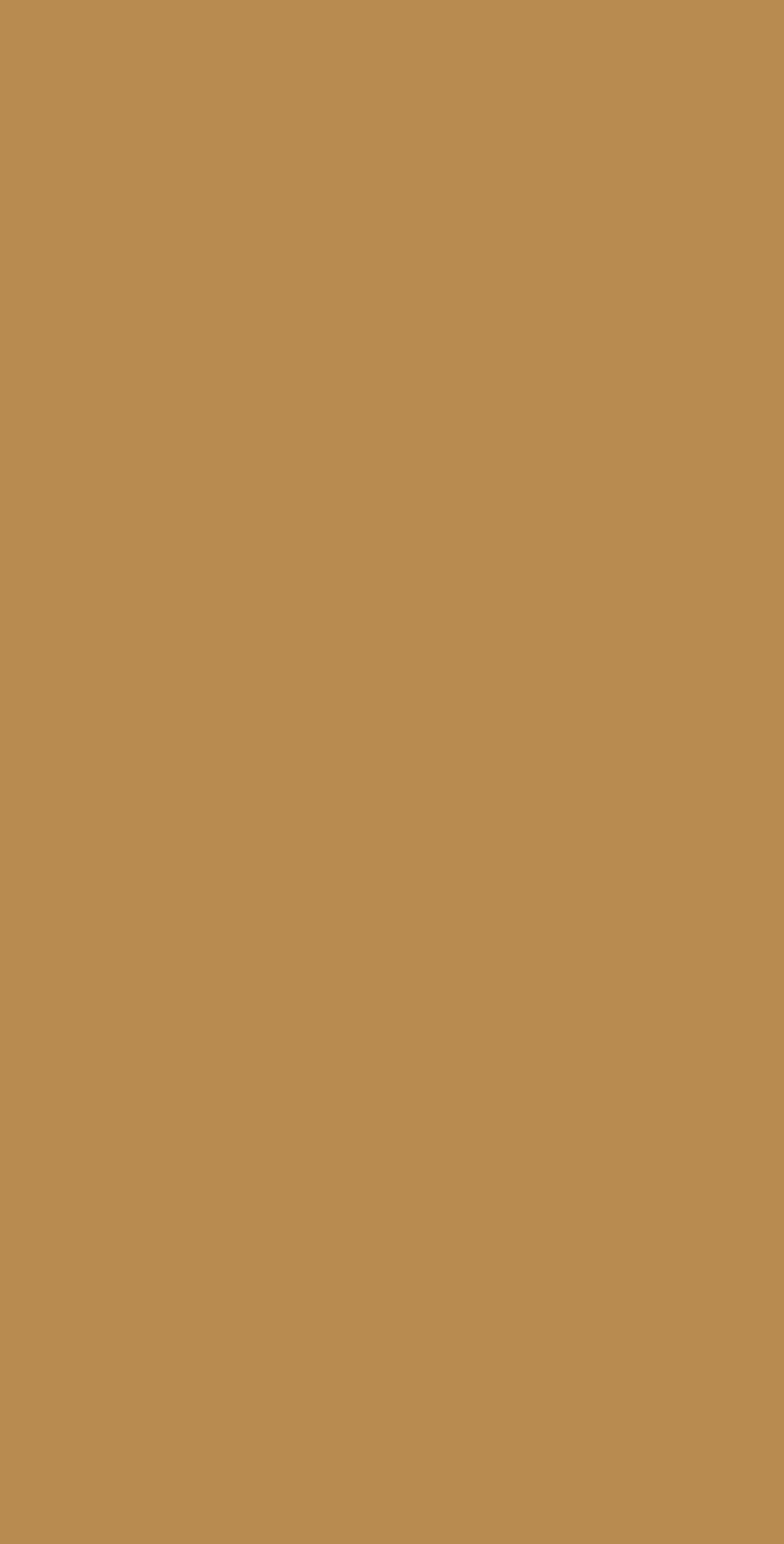 ESS 5236SMA HPL EDL MUSTARD GOLD