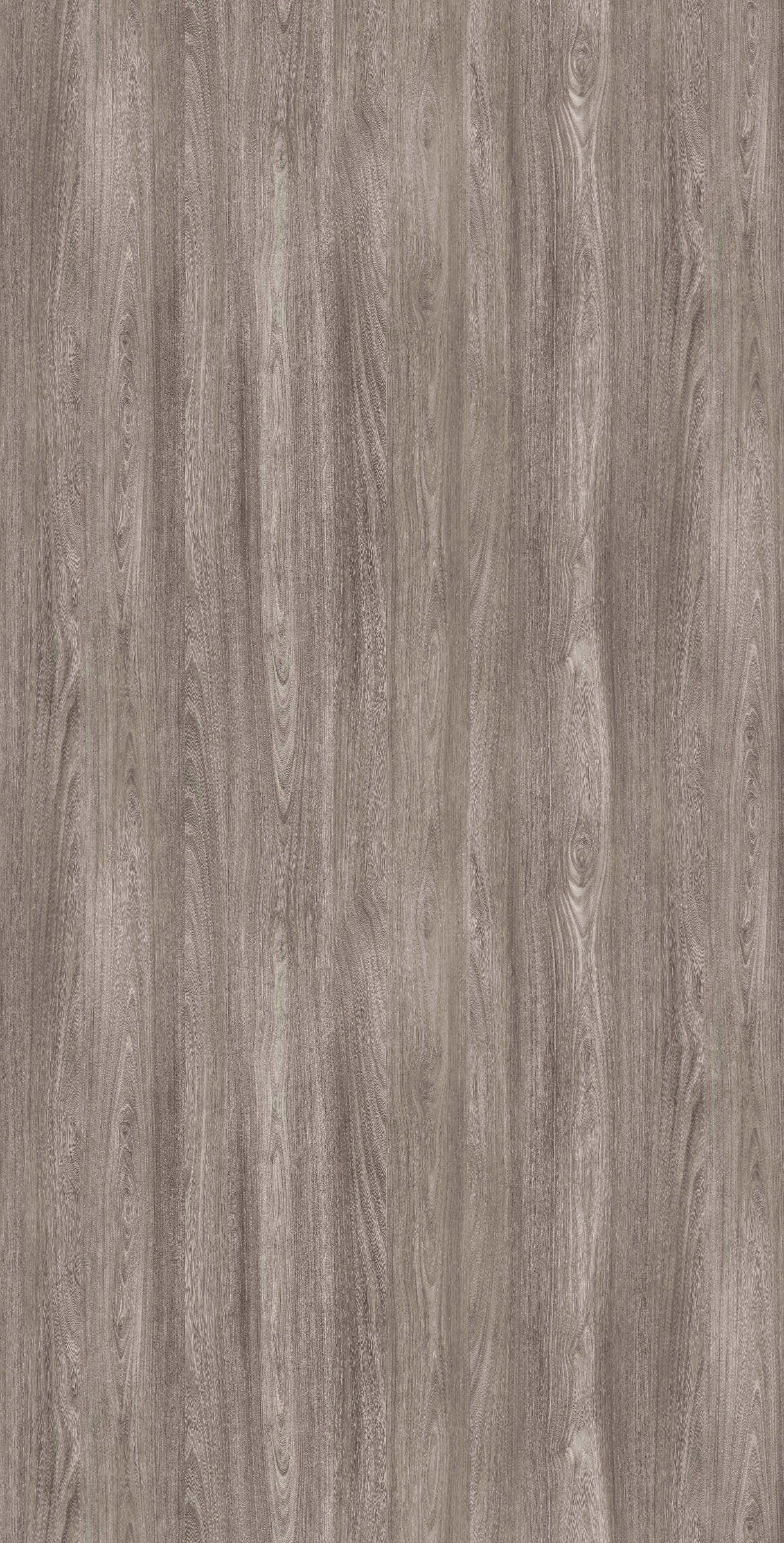 EWP 1643M HPL EDL GREY BOLZANO ELM