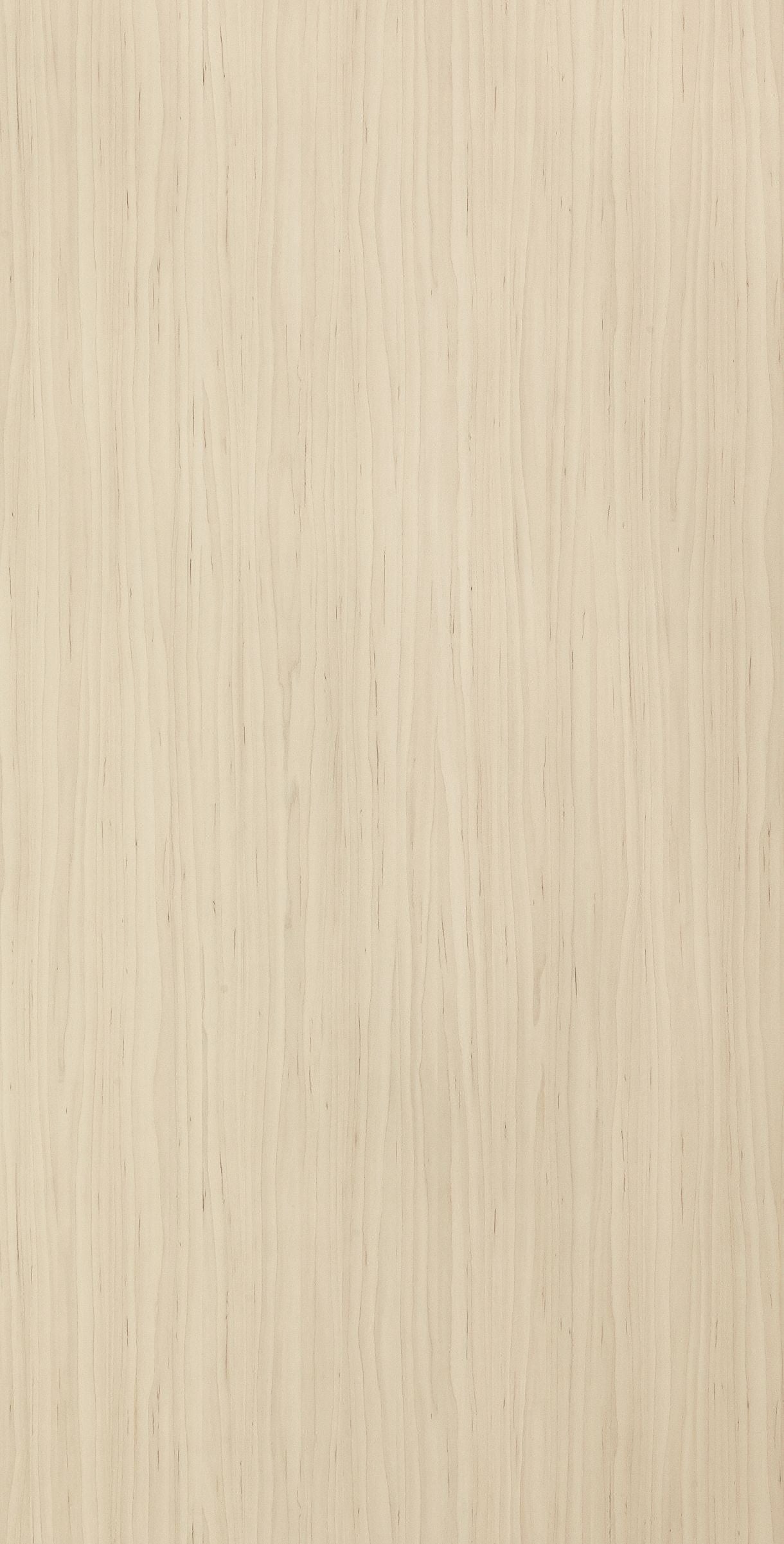 EWP 3240M HPL EDL DARK ALBA MAPLE