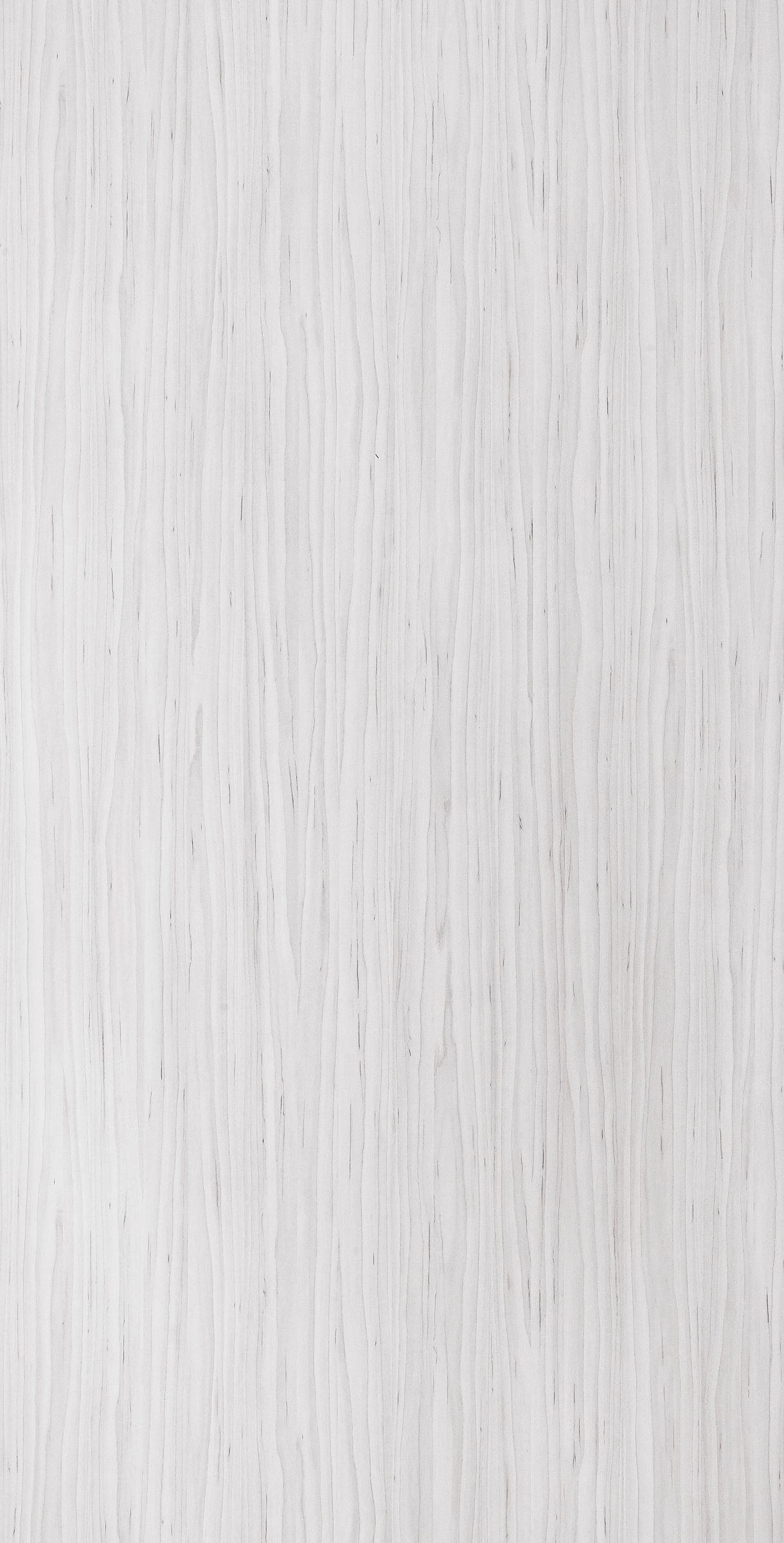 EWP 3241M HPL EDL ALBA MAPLE