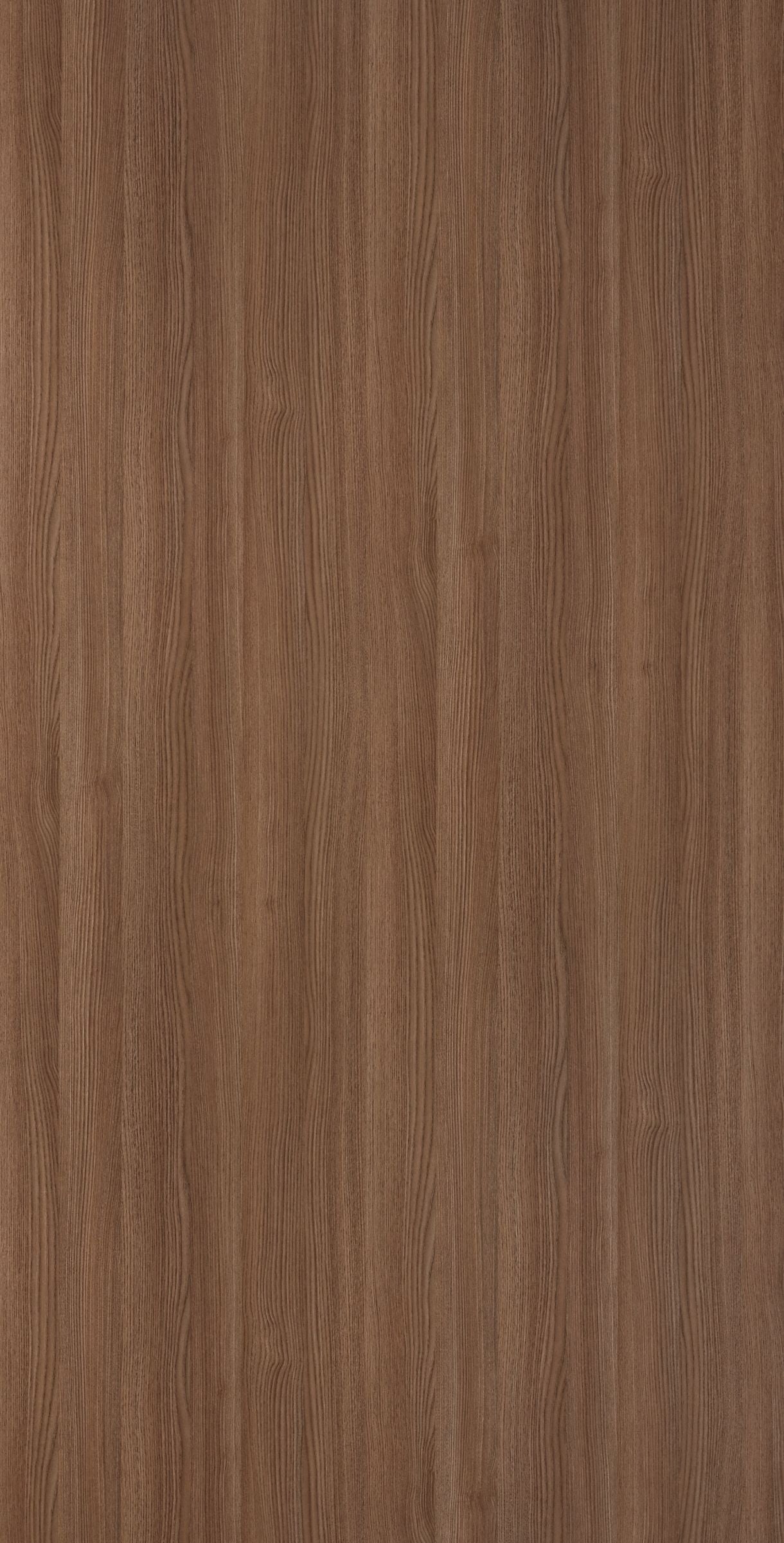 EWD 9970NT HPL EDL URBAN ELM