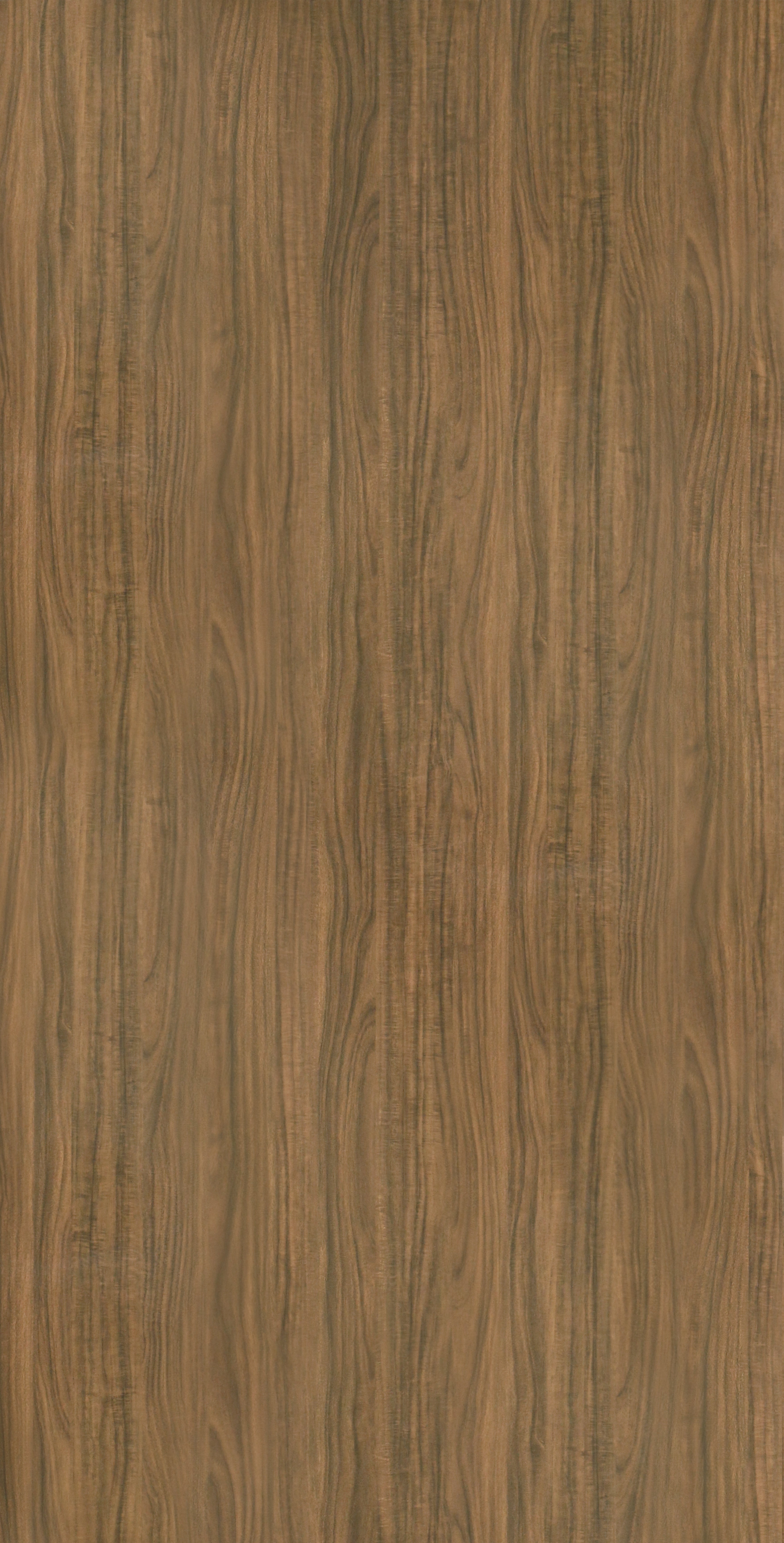 MB 020 D M HPL MB GLOSSY ZINGANA