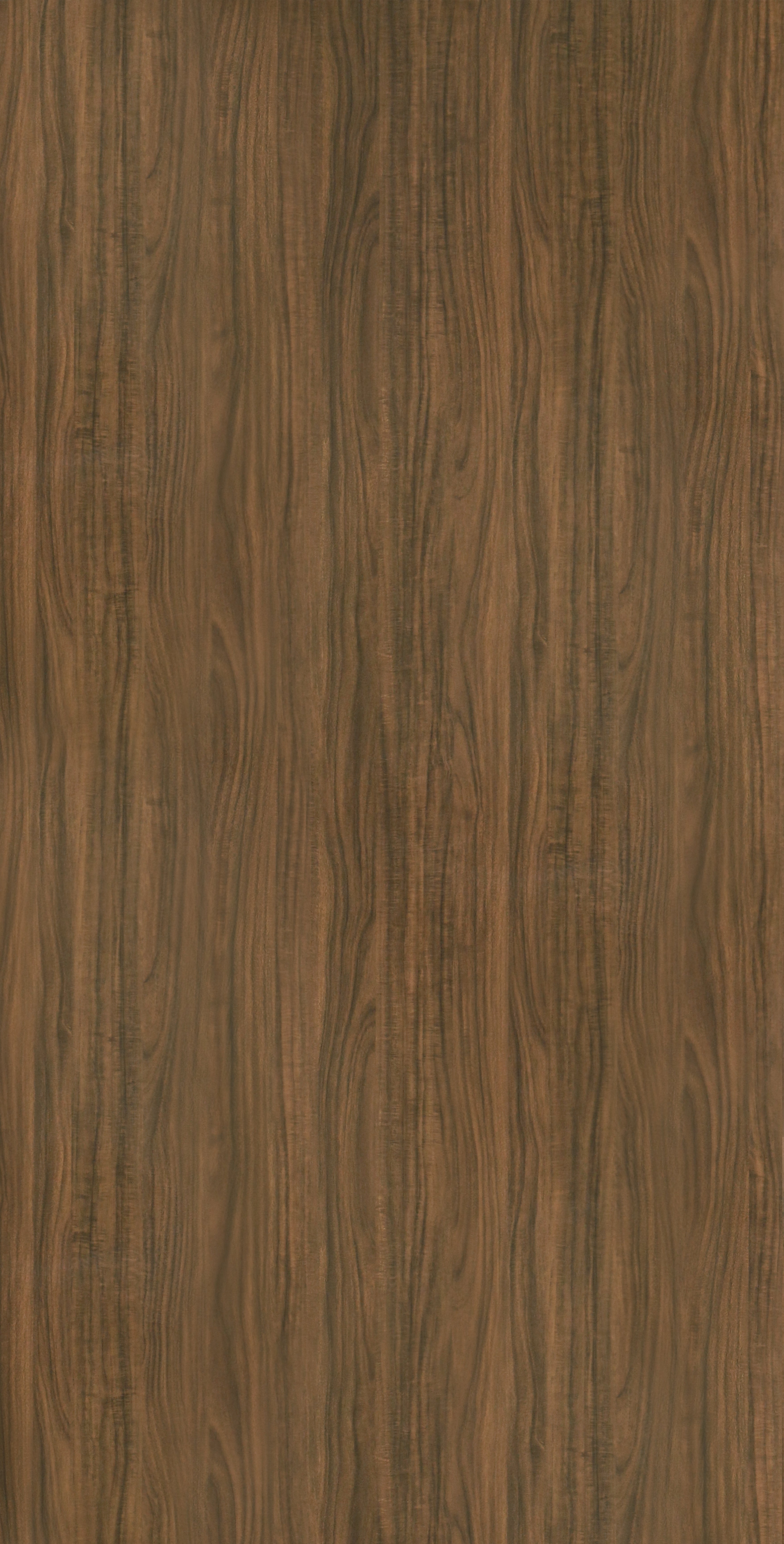 MB 020 D N74 HPL MB ZINGANA