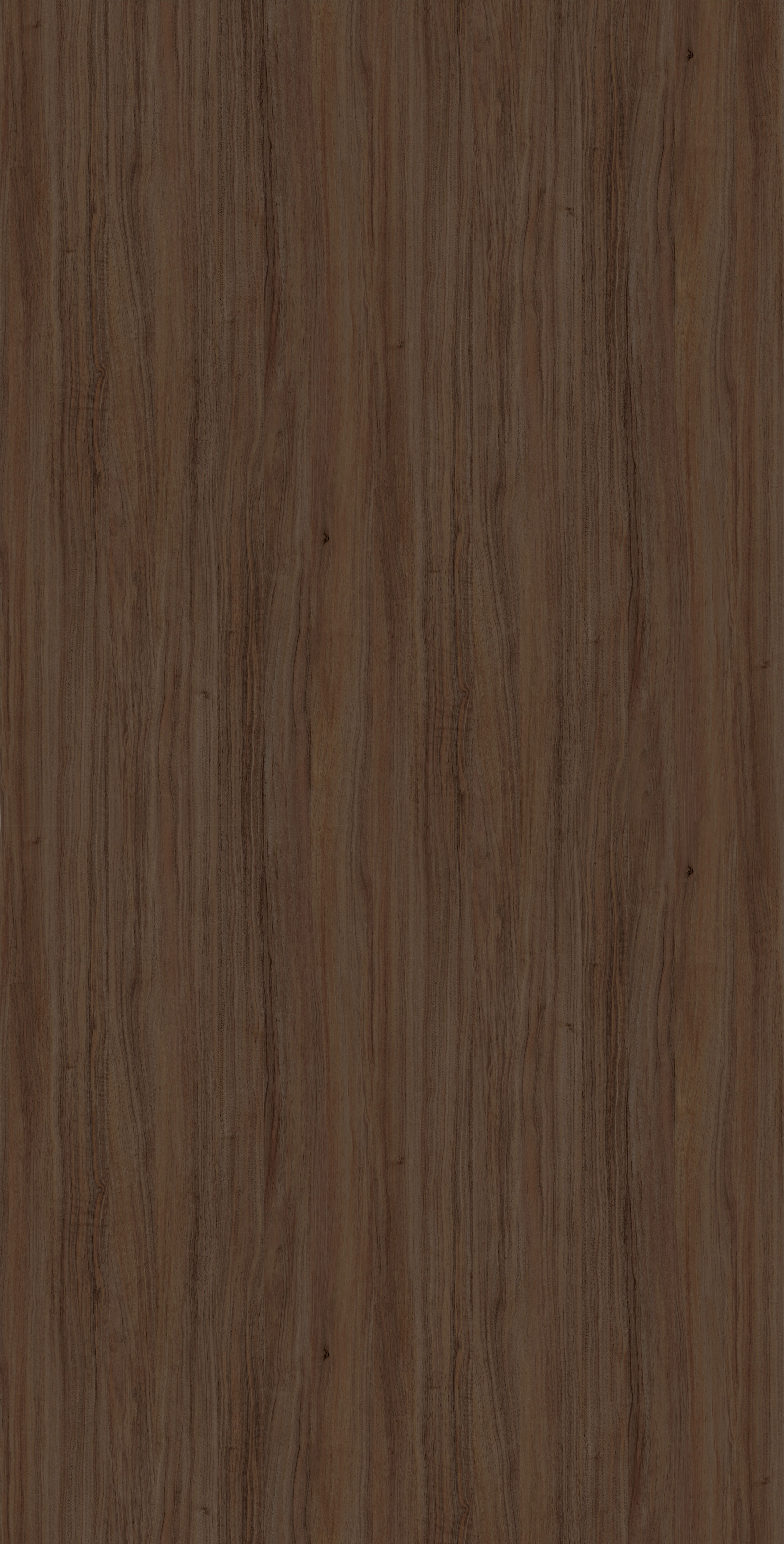 MB 3016 D N74 HPL MB DARK PERSIAN WALNUT