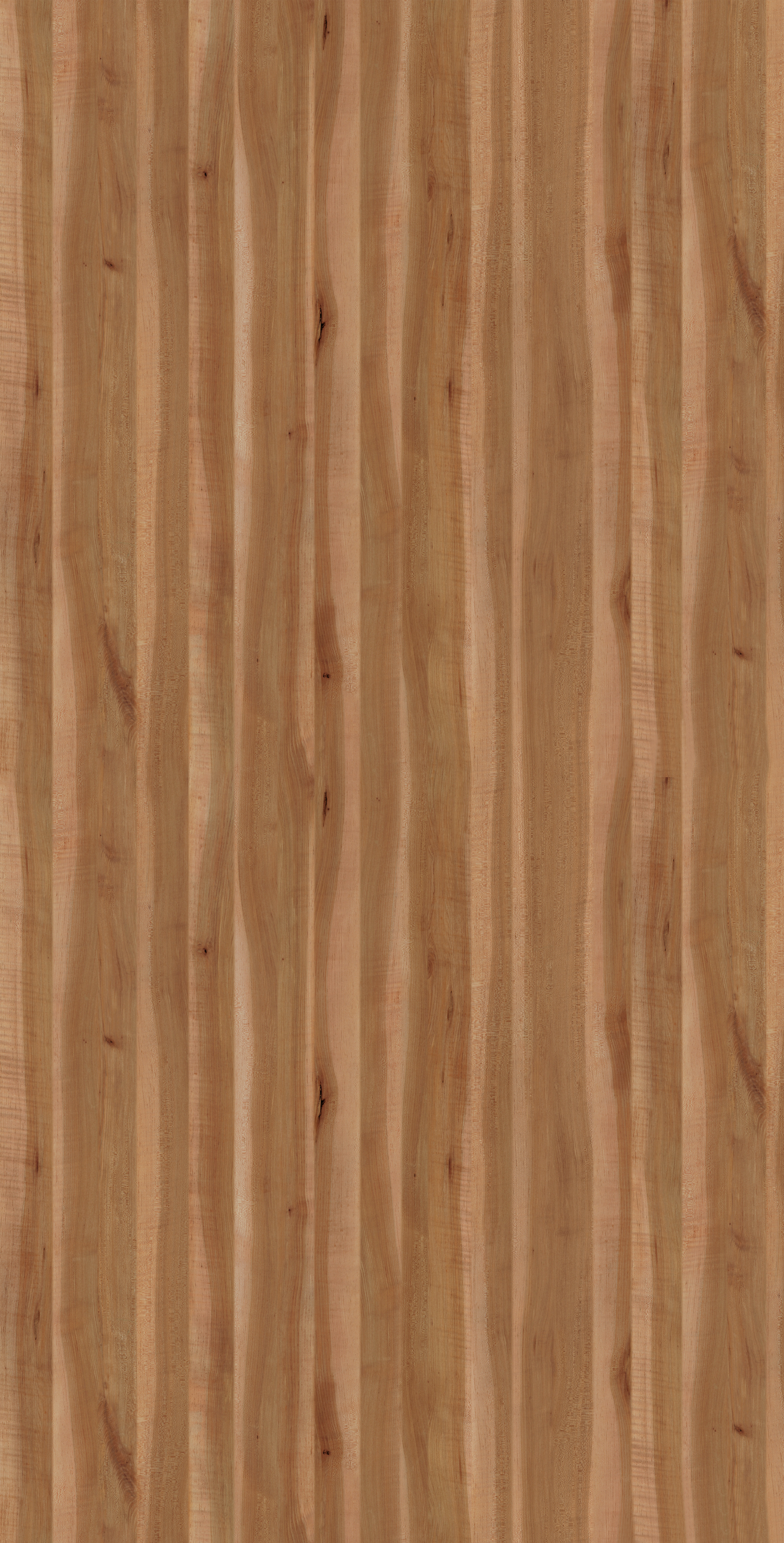 MB 3019 D N74 HPL MB URAL MOUNTAIN MAPLE