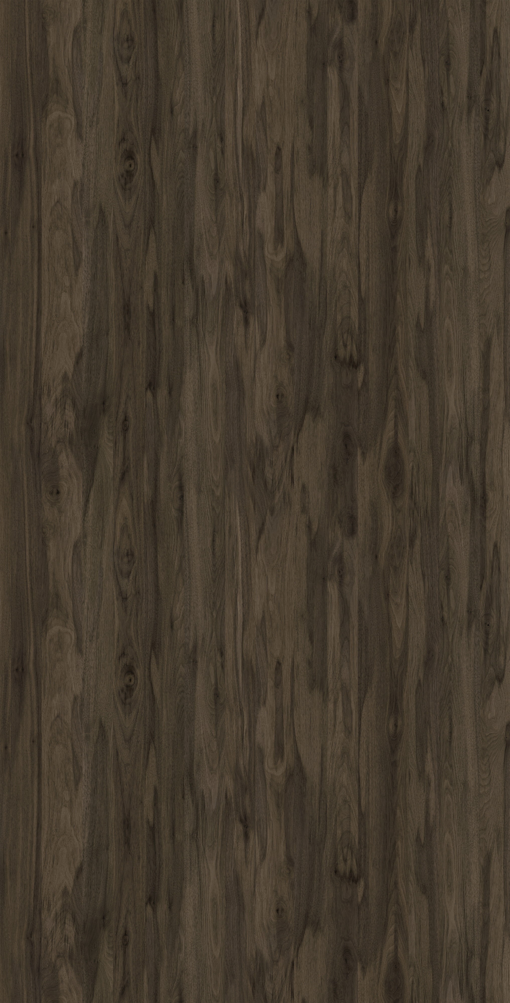 MB 3051 D N74 HPL MB SPRING CALIO WALNUT