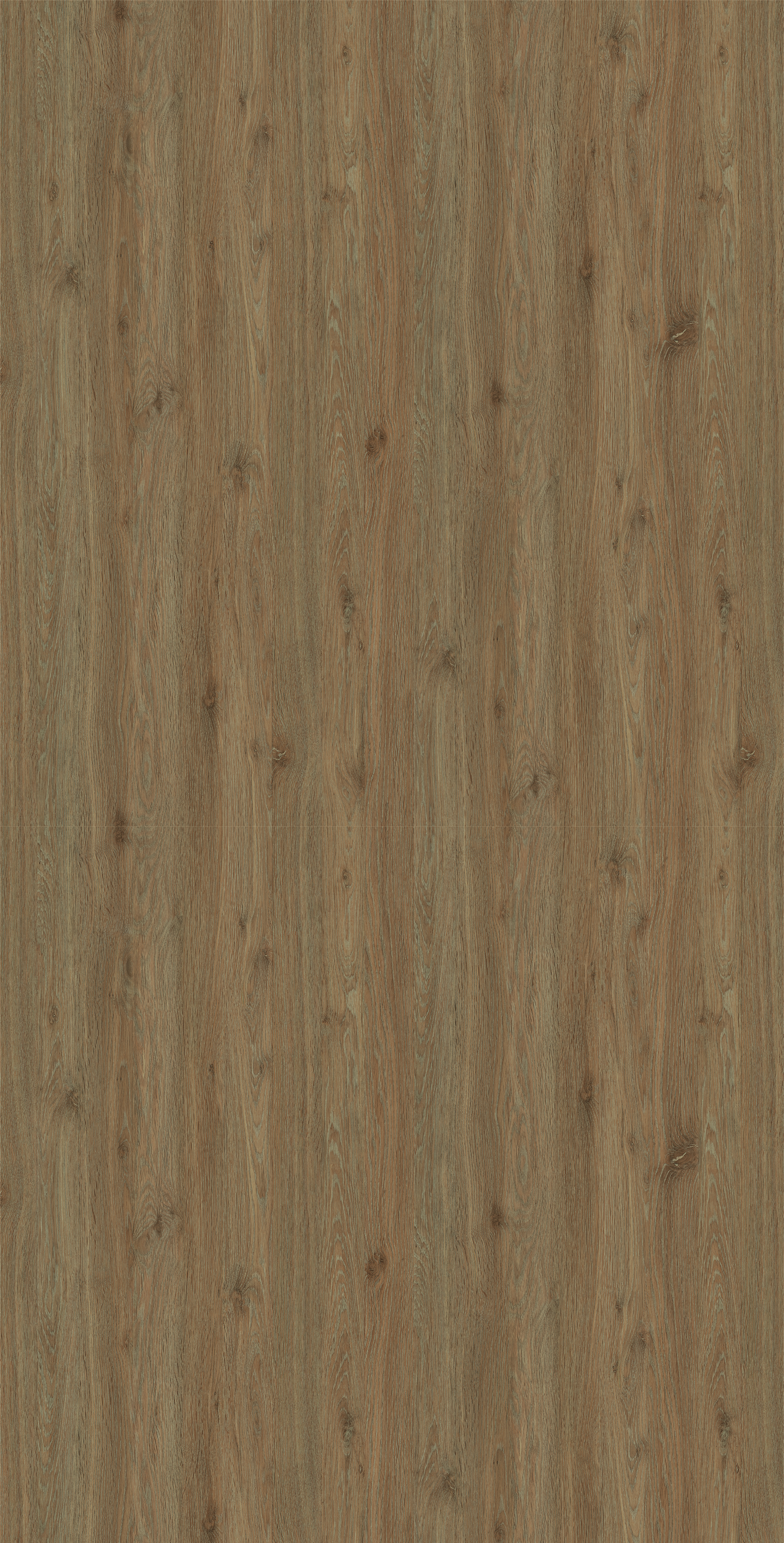 MB 3053 D N74 HPL MB ALASKA RED OAK