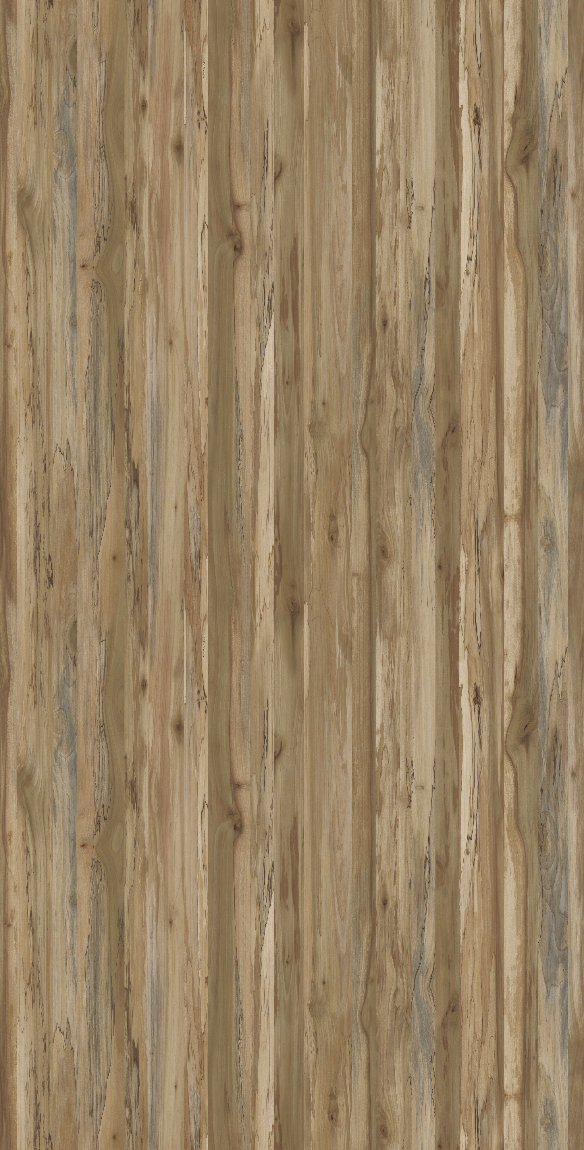 MB 3069 D G HPL MB OREGON POPLAR