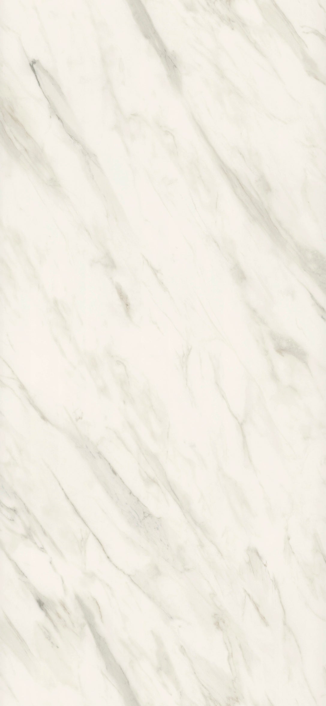 MBA 2005 C M HPL MB WHITE FONTIA