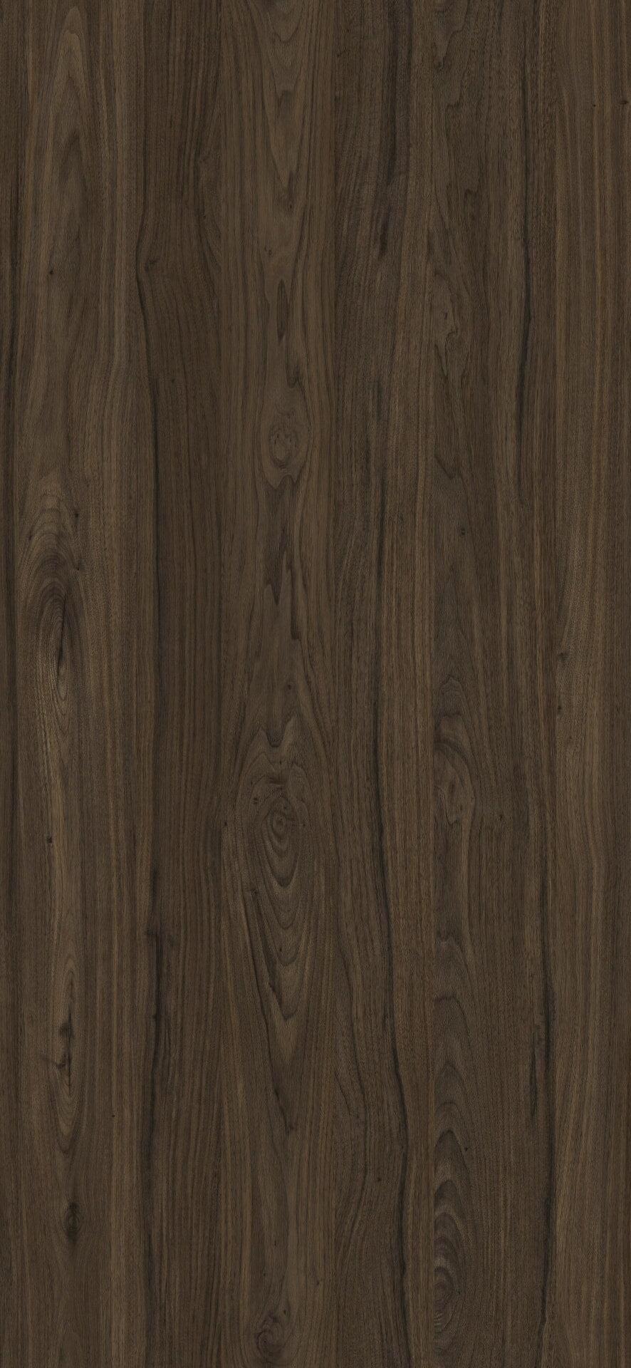 MBA 2015 C S98 HPL MB JUGLANS NIGRA