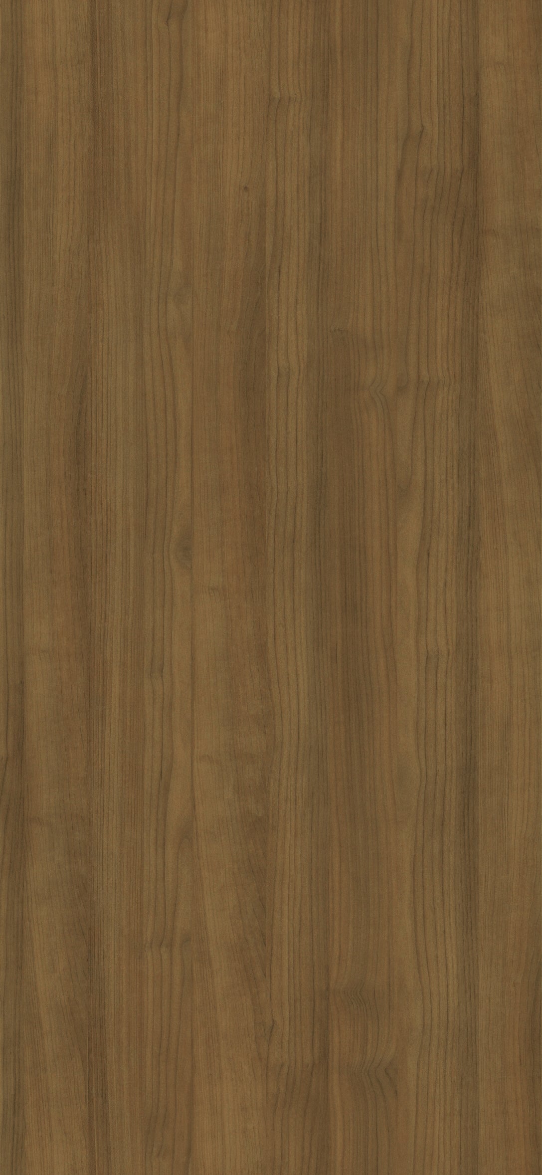 MBA 2016 C S98 HPL MB ODAIBA SAKURA