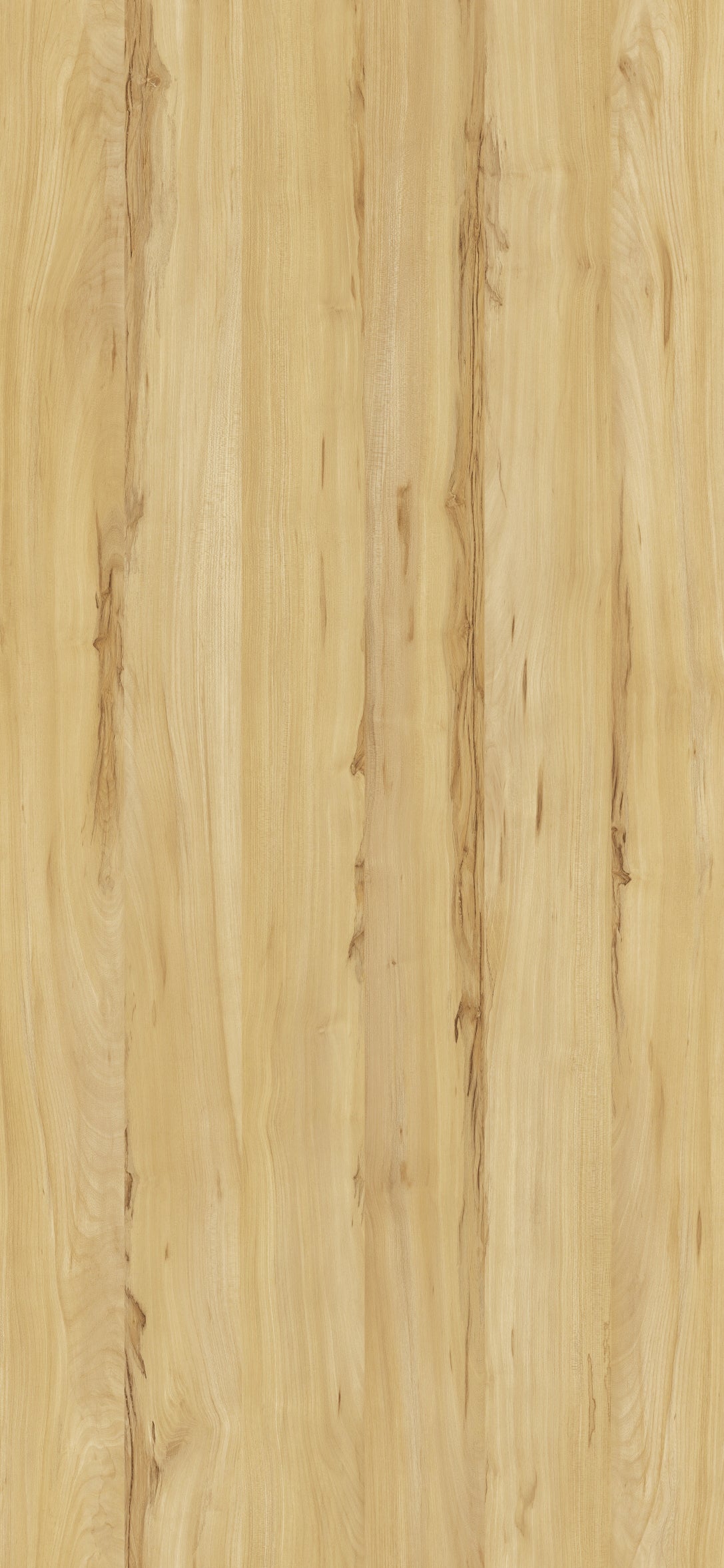 MBA 2021 C S98 HPL MB YELLOW MONFORT ELM