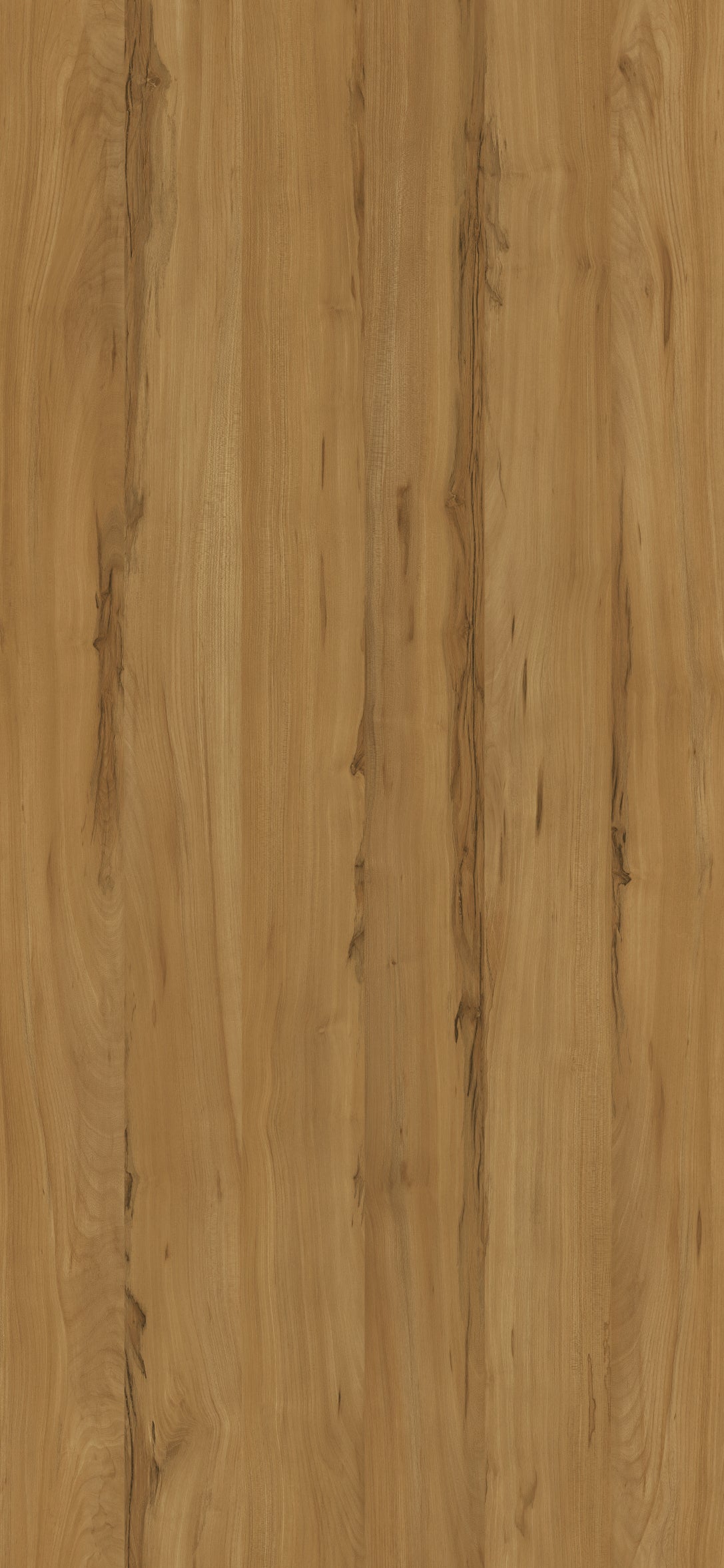 MBA 2022 C S98 HPL MB BROWN MONFORT ELM