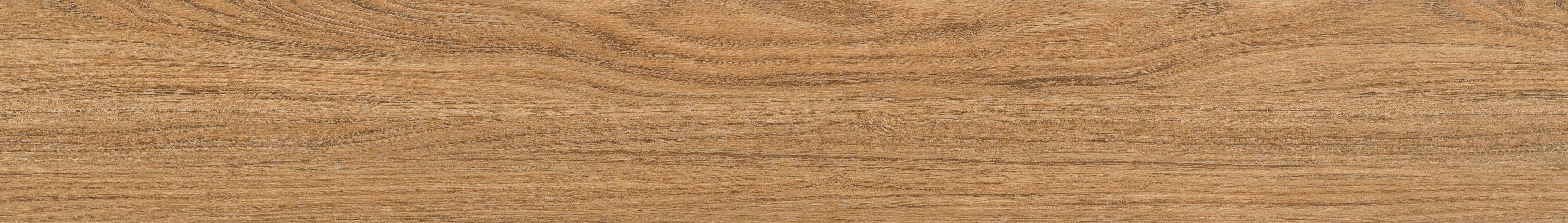 TV 5504 SPC TACO Golden Acacia