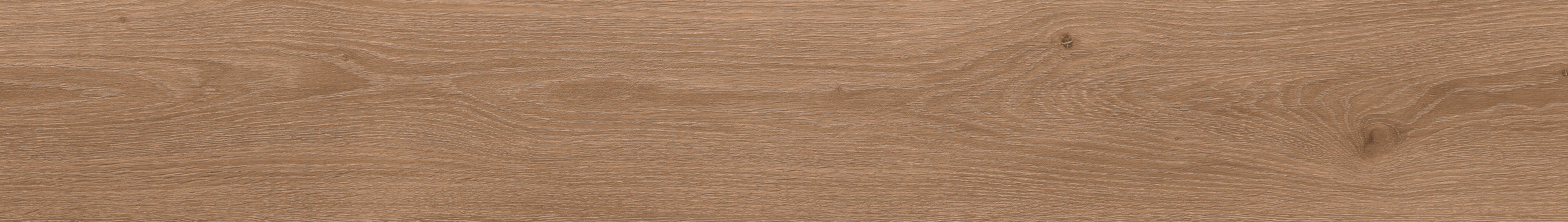TV 5510 SPC TACO Canyon Oak