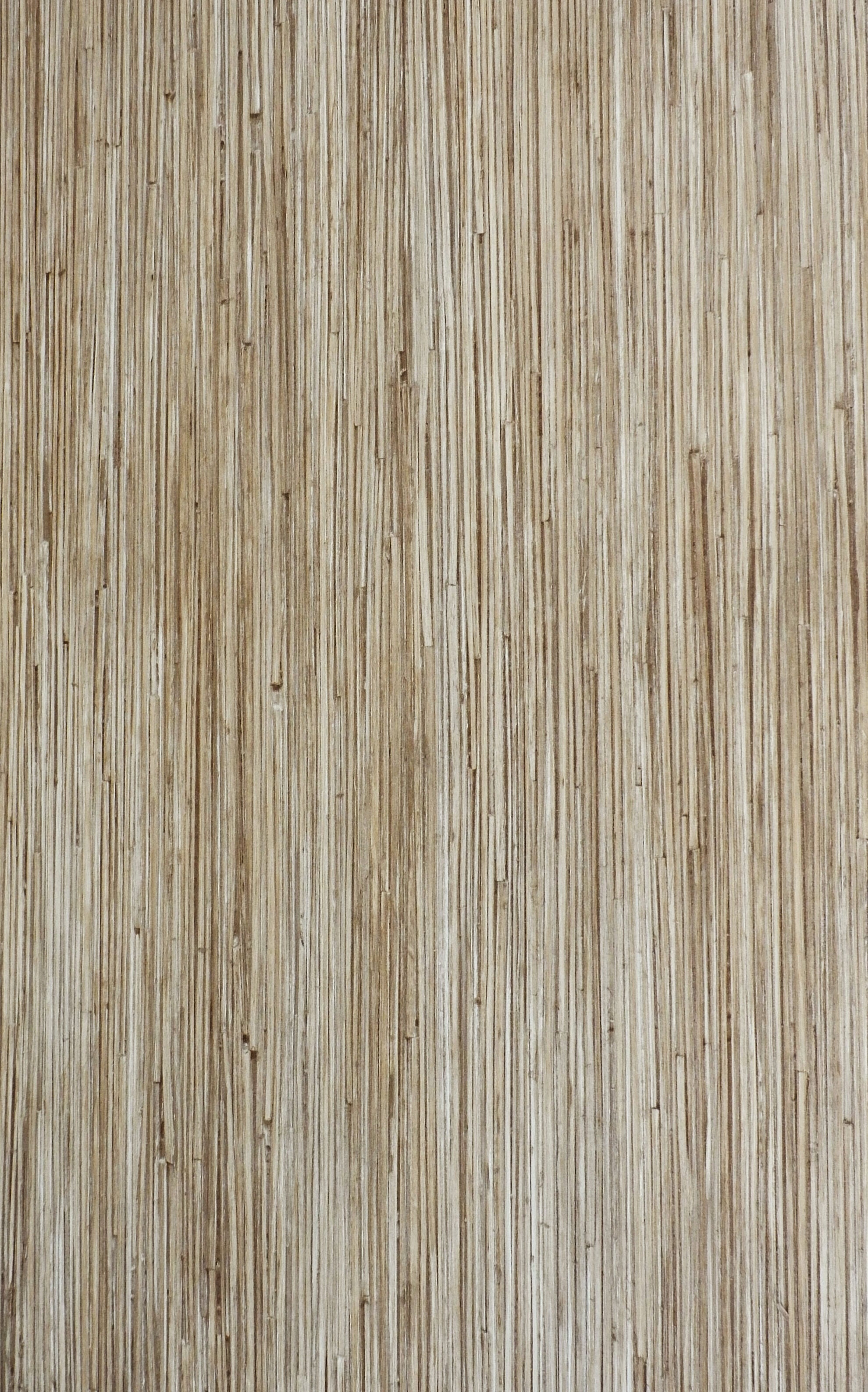 GMM 0513 STK HPL GRASMERINO VIETNAMESE BAMBOO